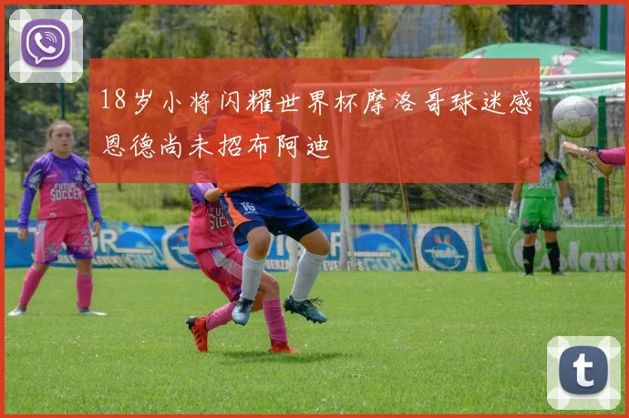 18岁小将闪耀世界杯摩洛哥球迷感恩德尚未招布阿迪